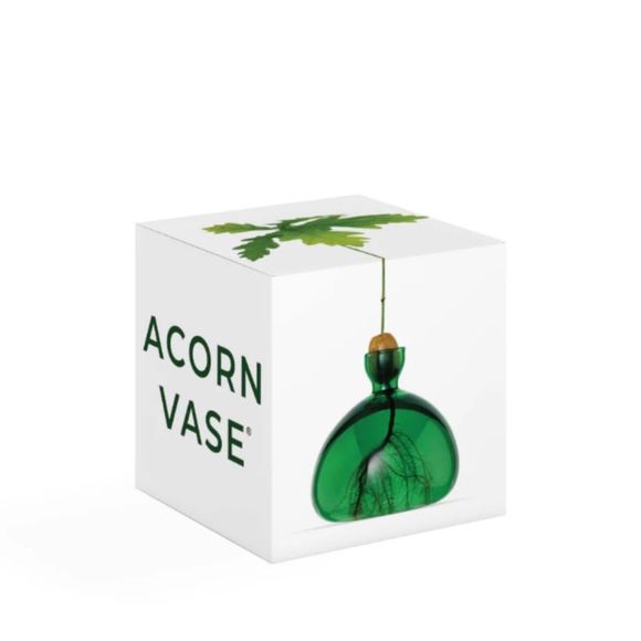 NWT Minimalist Acorn Vase by Ilex Studio – Green Glass Oak Tree Sprouting Vessel - Picture 2 of 5